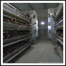 Egg Laying Battery Cage